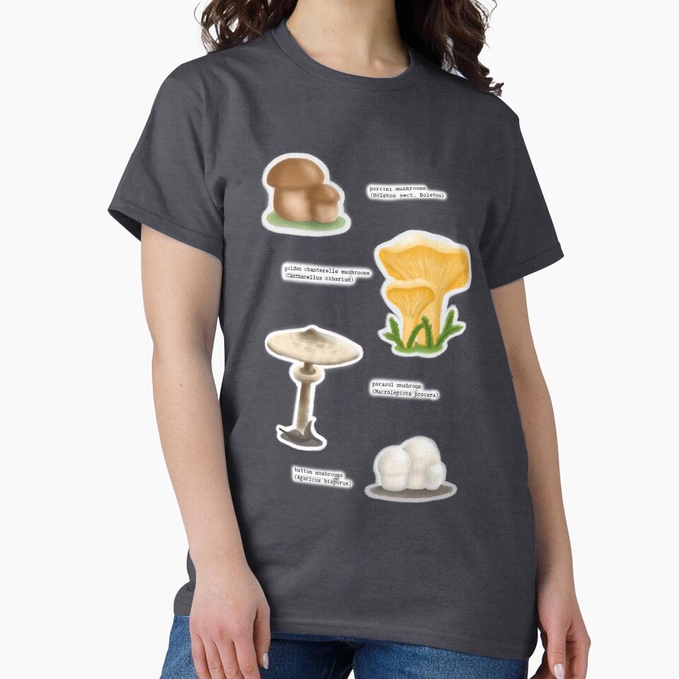 Porcini, Chanterelle, Parasol and Button Mushrooms pattern by drawingKatarina