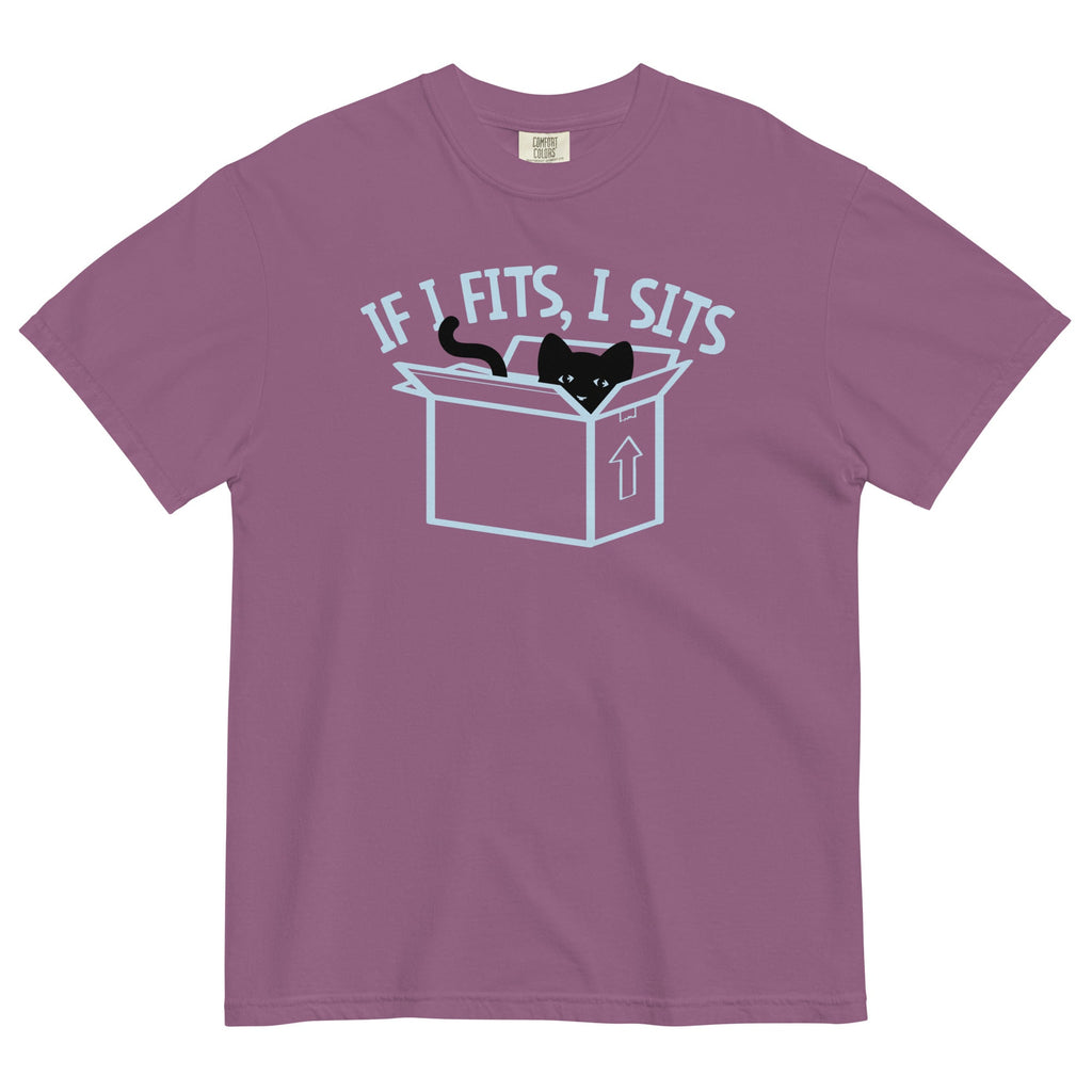 If I Fits, I Sits Men's Relaxed Fit Tee