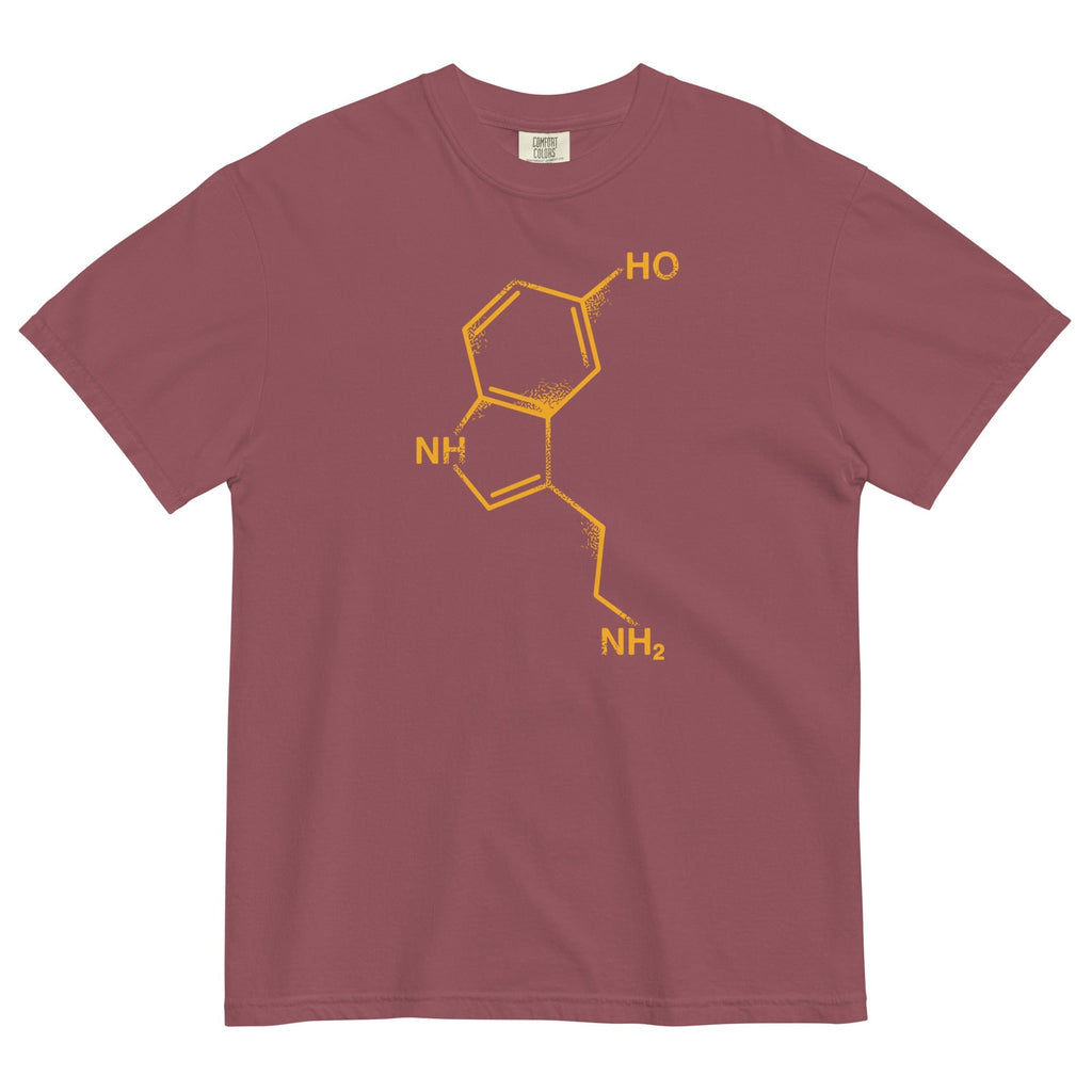 Serotonin Men's Relaxed Fit Tee