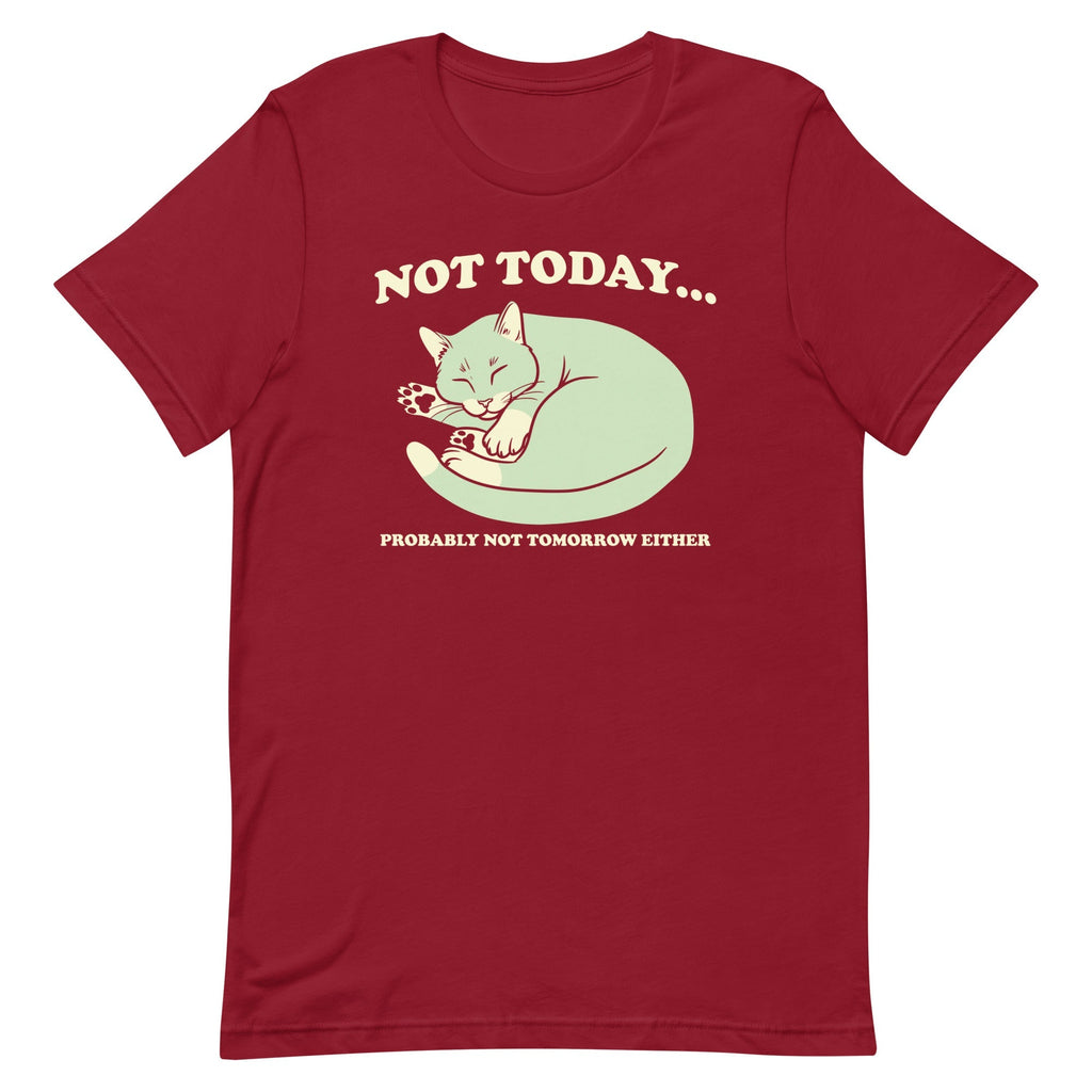 Not Today Probably Not Tomorrow Either Men's Signature Tee