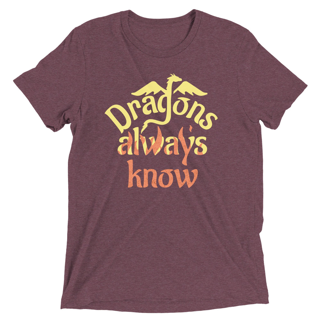 Dragons Always Know Men's Tri-Blend Tee