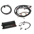 Holley EFI Dominator EFI Kit – LS2 Main Harness with EV1 Injector Harness