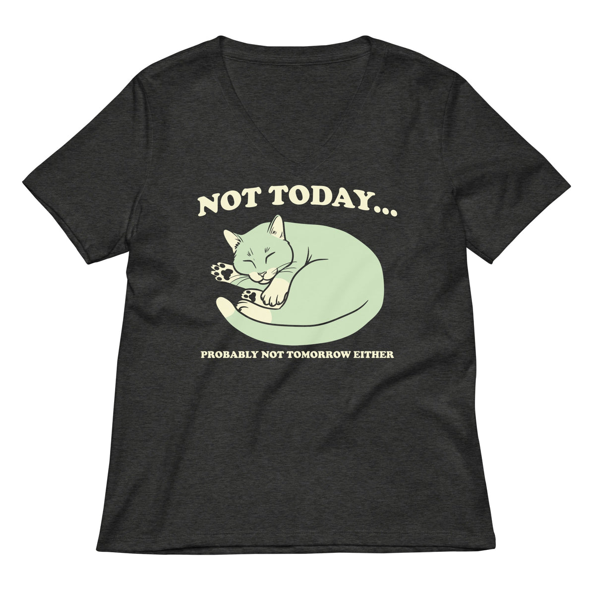 Not Today Probably Not Tomorrow Either Women's V-Neck Tee